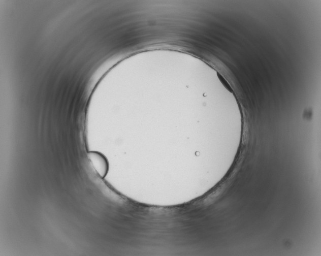 X0000111670812200908281109