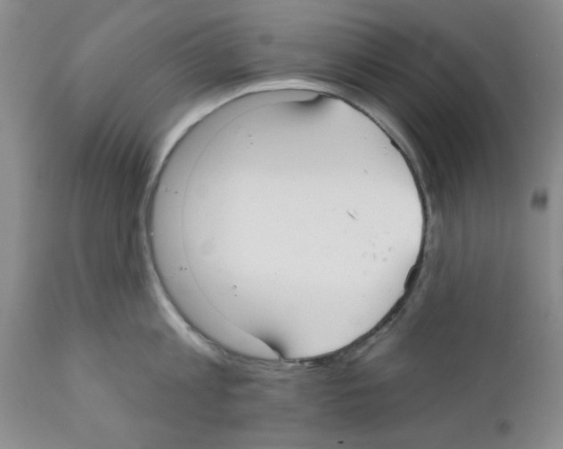 X0000111670813200908281109