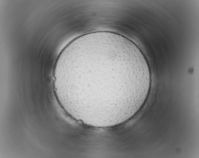 X0000111670814200908281109