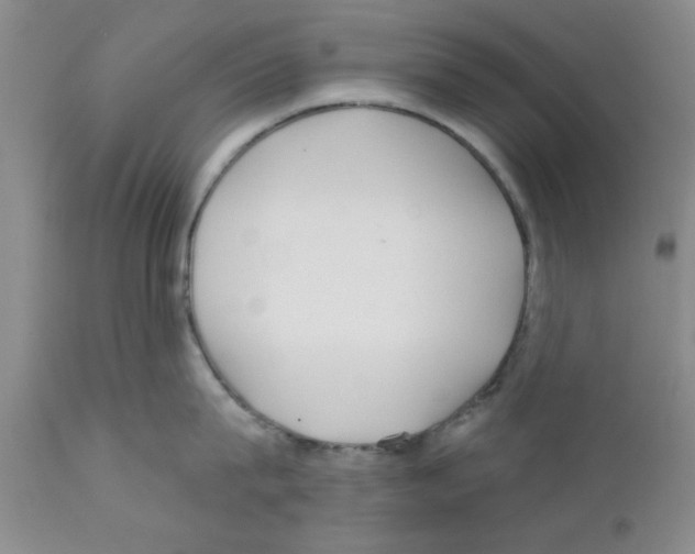 X0000111670815200908281109