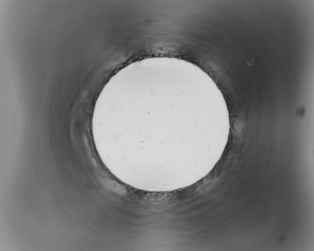 X0000111670817200908281109