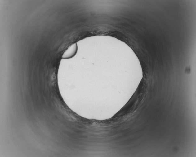 X0000111670818200908281109