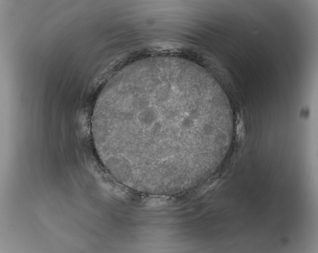 X0000111670819200908281109