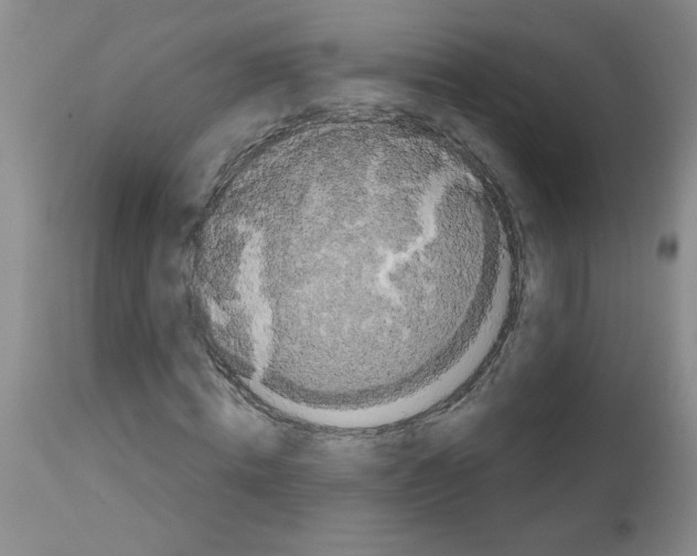 X0000111670820200908281109