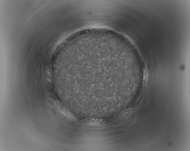 X0000111670823200908281109