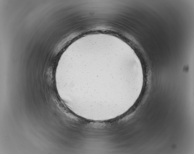 X0000111670825200908281109