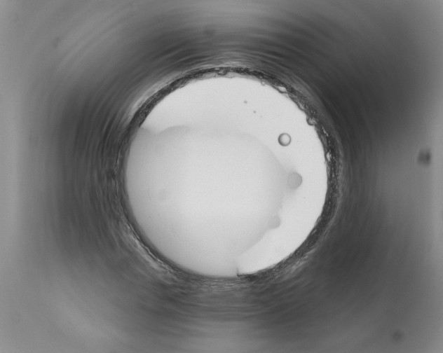 X0000111670826200908281109