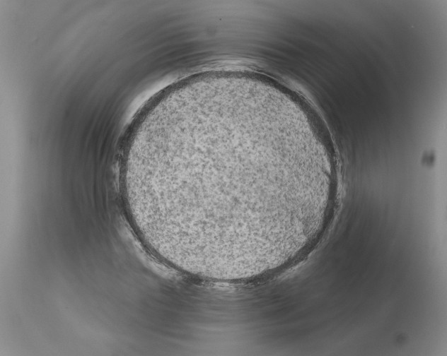 X0000111670827200908281109