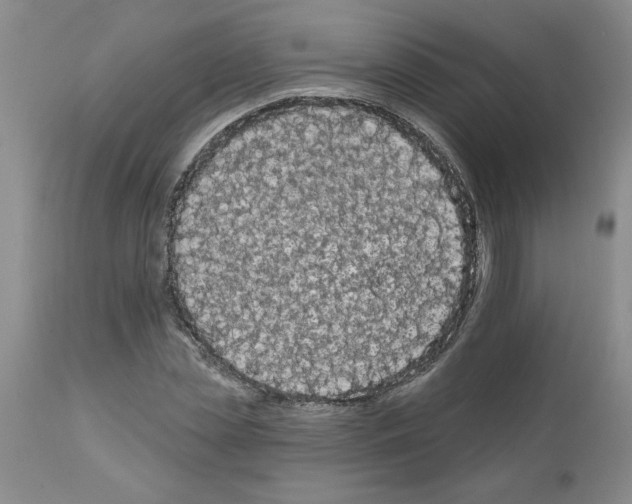 X0000111670829200908281109