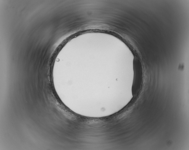 X0000111670830200908281109