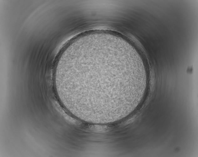 X0000111670831200908281109