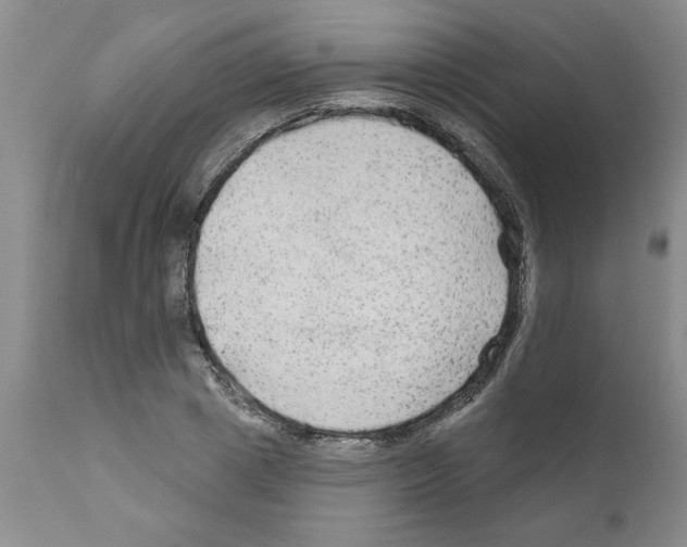 X0000111670833200908281109