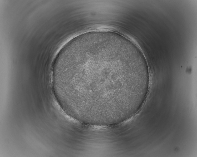 X0000111670835200908281109