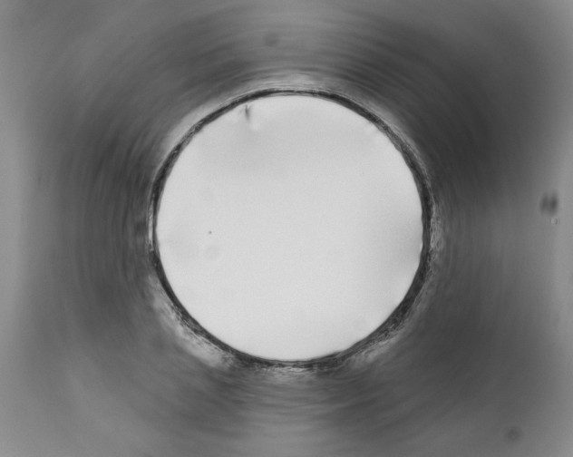 X0000111670837200908281109