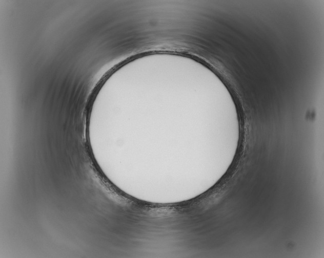 X0000111670838200908281109