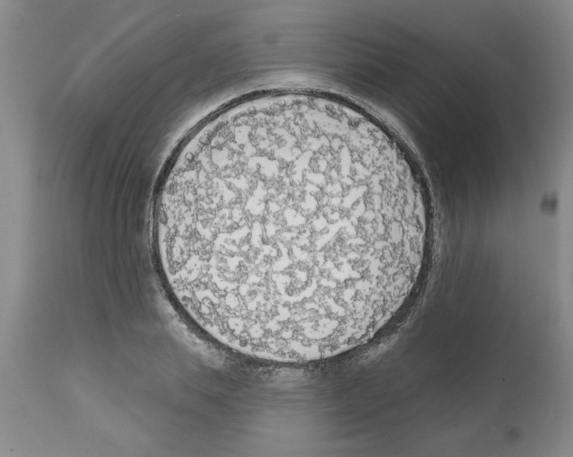 X0000111670839200908281109