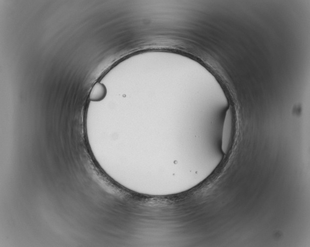 X0000111670842200908281109