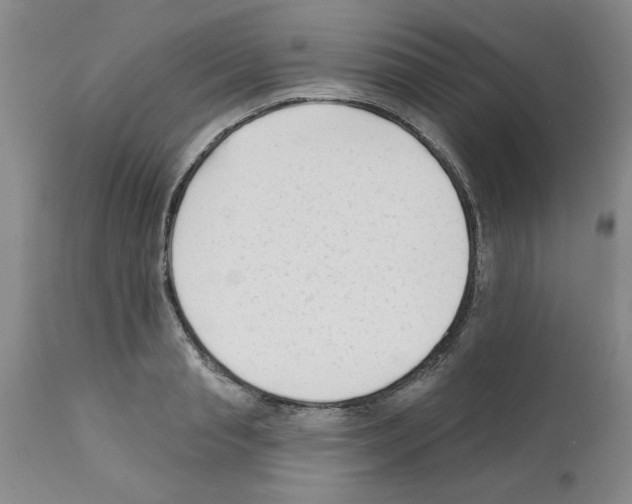 X0000111670845200908281109