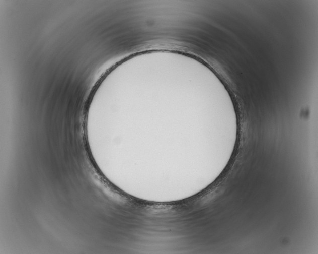 X0000111670846200908281109