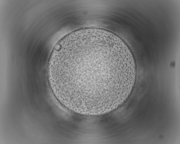 X0000111670848200908281109