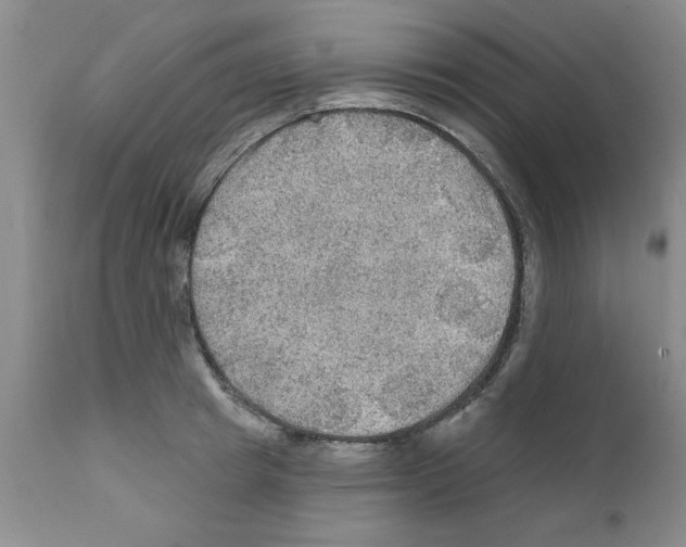 X0000111670849200908281109