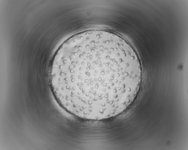 X0000111670851200908281109