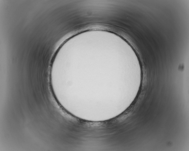 X0000111670853200908281109