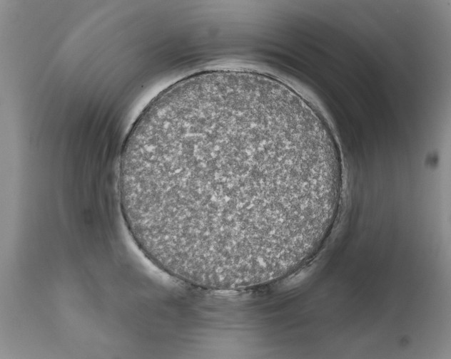 X0000111670855200908281109