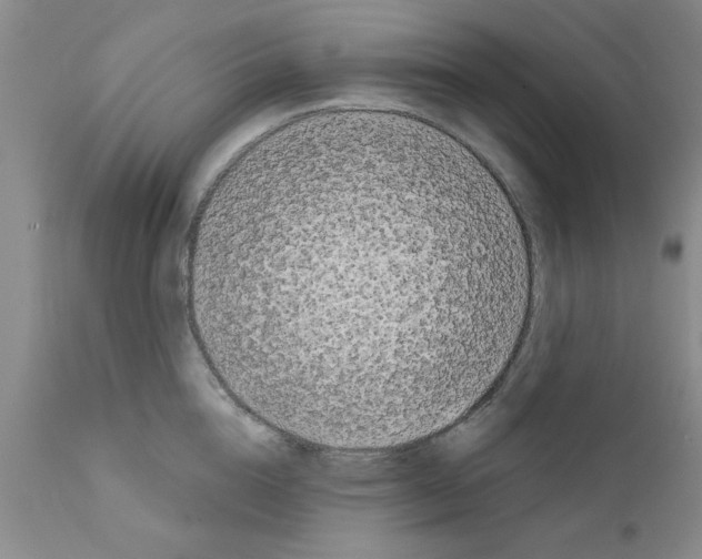 X0000111670856200908281109