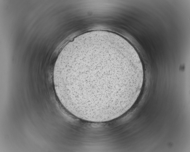 X0000111670857200908281109