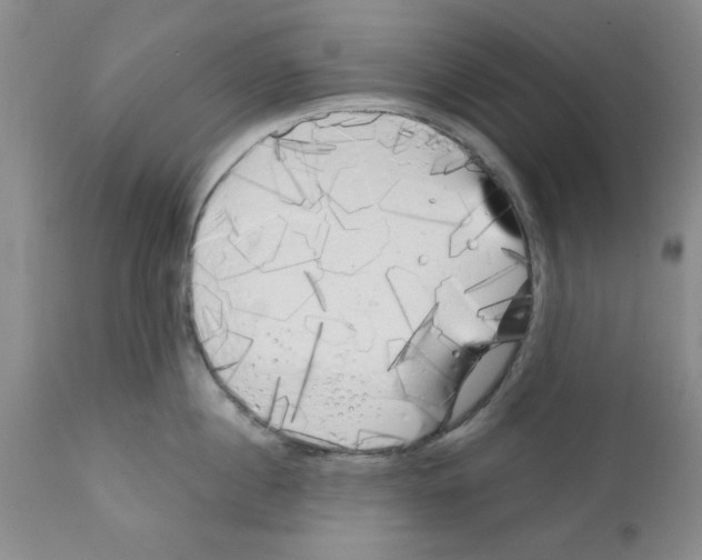 X0000111670860200908281109