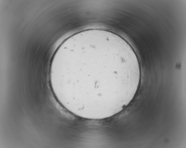 X0000111670861200908281109