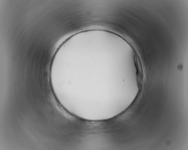 X0000111670862200908281109