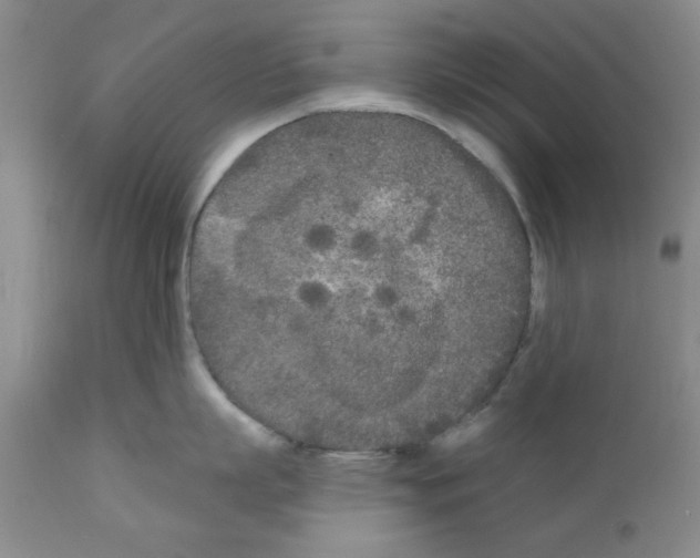 X0000111670863200908281109