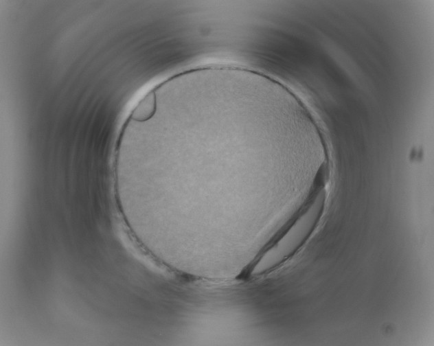 X0000111670864200908281109