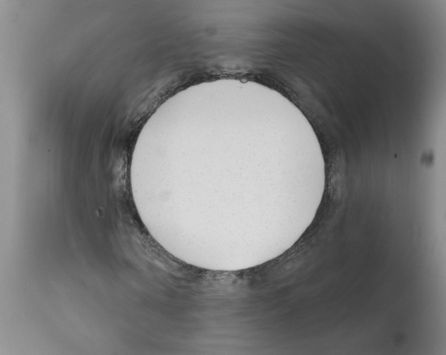 X0000111670866200908281109