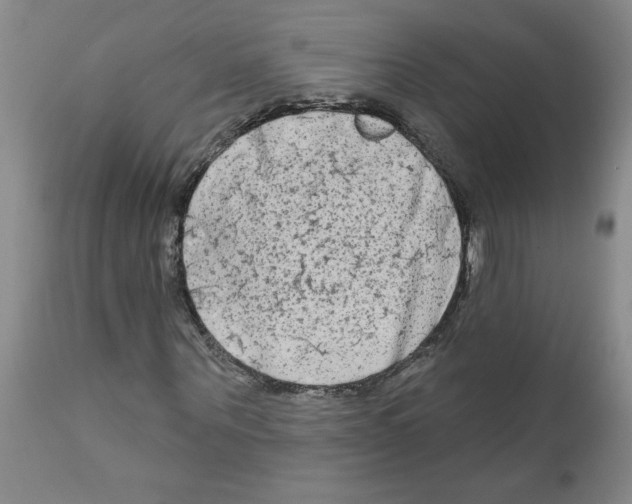 X0000111670867200908281109