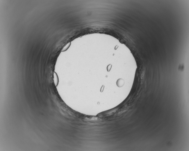 X0000111670868200908281109