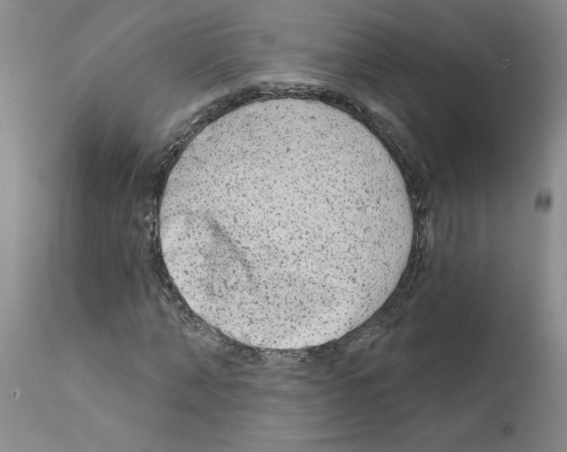 X0000111670870200908281109