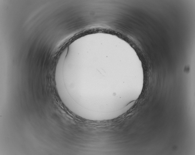 X0000111670872200908281109