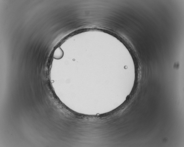 X0000111670876200908281108