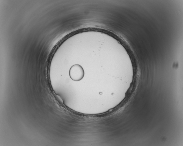 X0000111670877200908281108