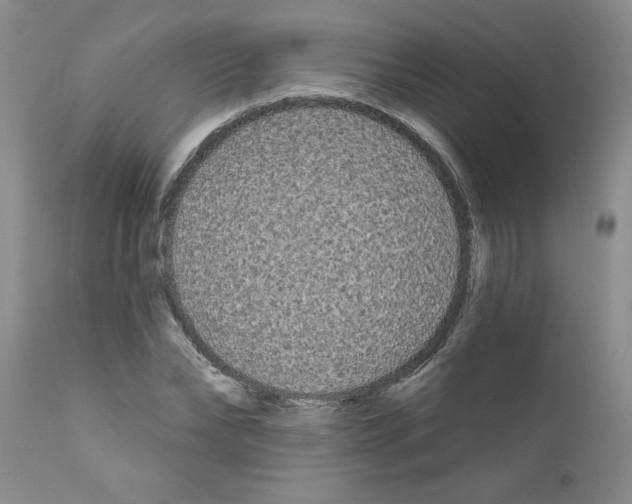 X0000111670878200908281108