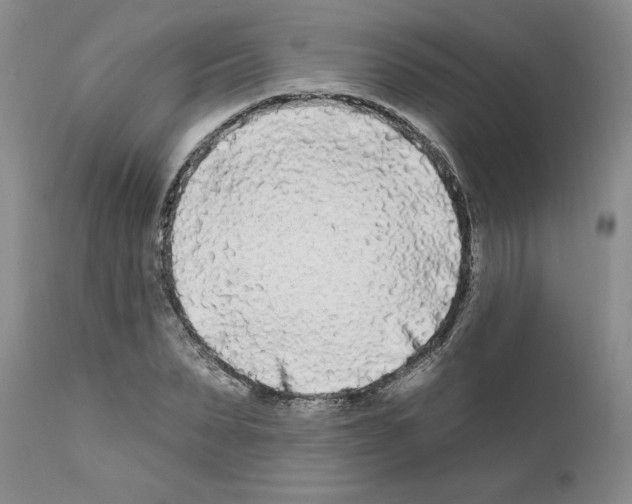 X0000111670879200908281108