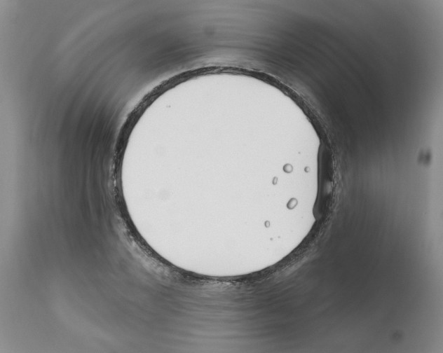 X0000111670880200908281108