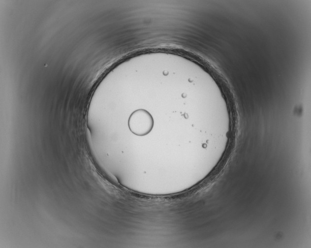 X0000111670881200908281108