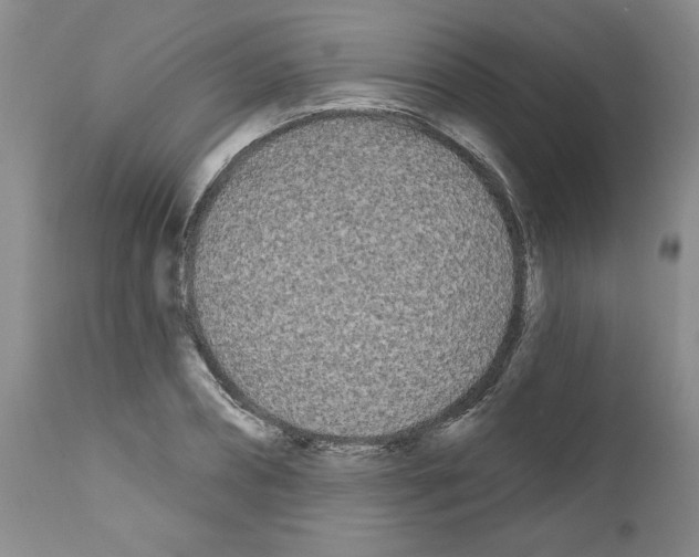 X0000111670882200908281108