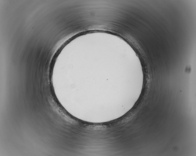 X0000111670884200908281108