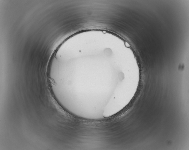 X0000111670885200908281108