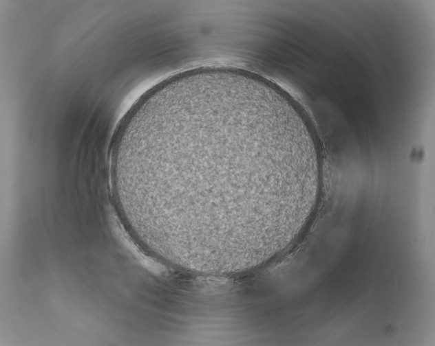 X0000111670886200908281108